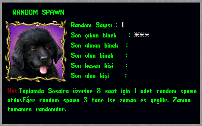 Random Binek Sistemi